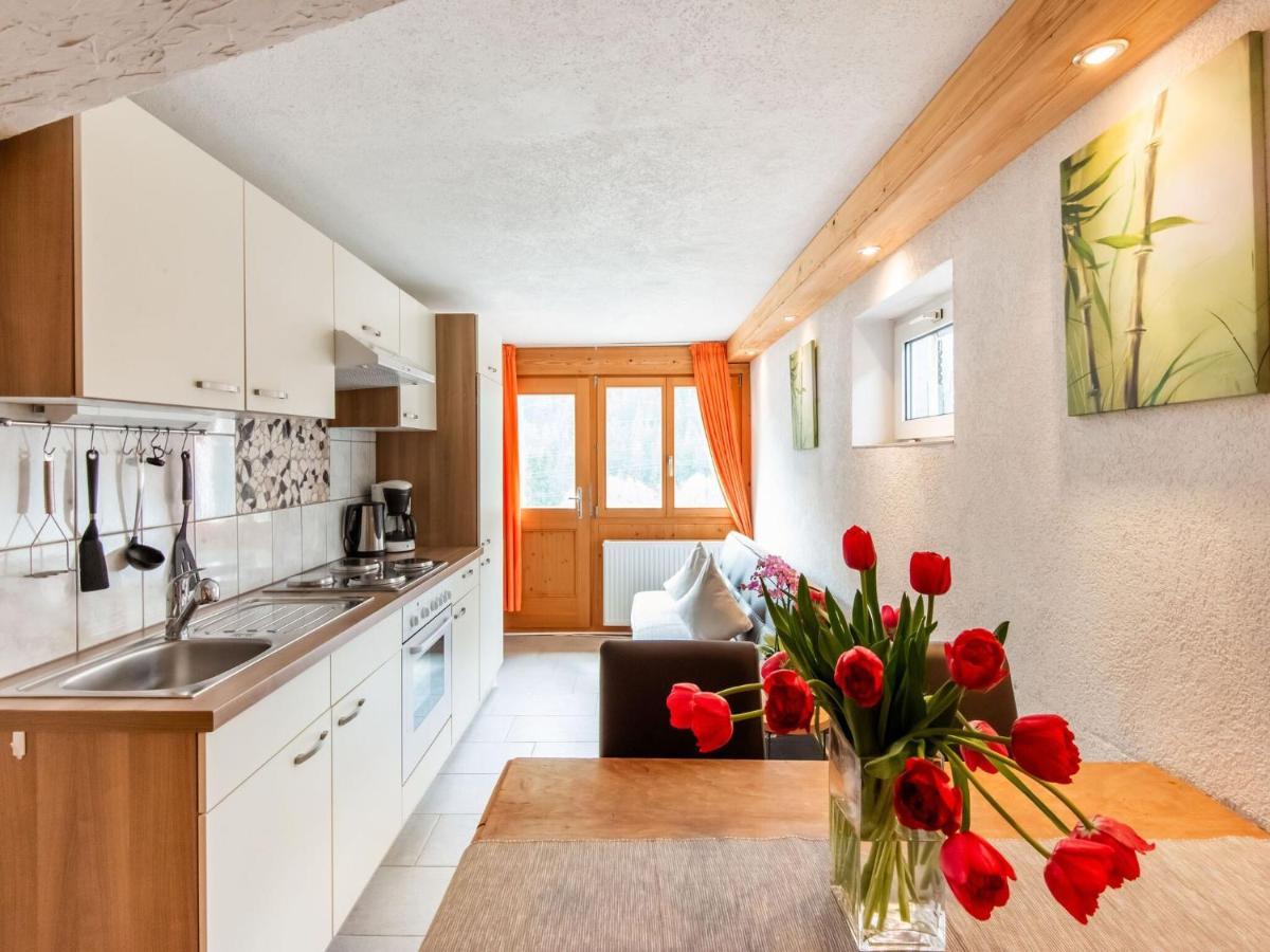 Apartment In The Silvretta-Montafon Ski Area Санкт-Галленкірх Екстер'єр фото