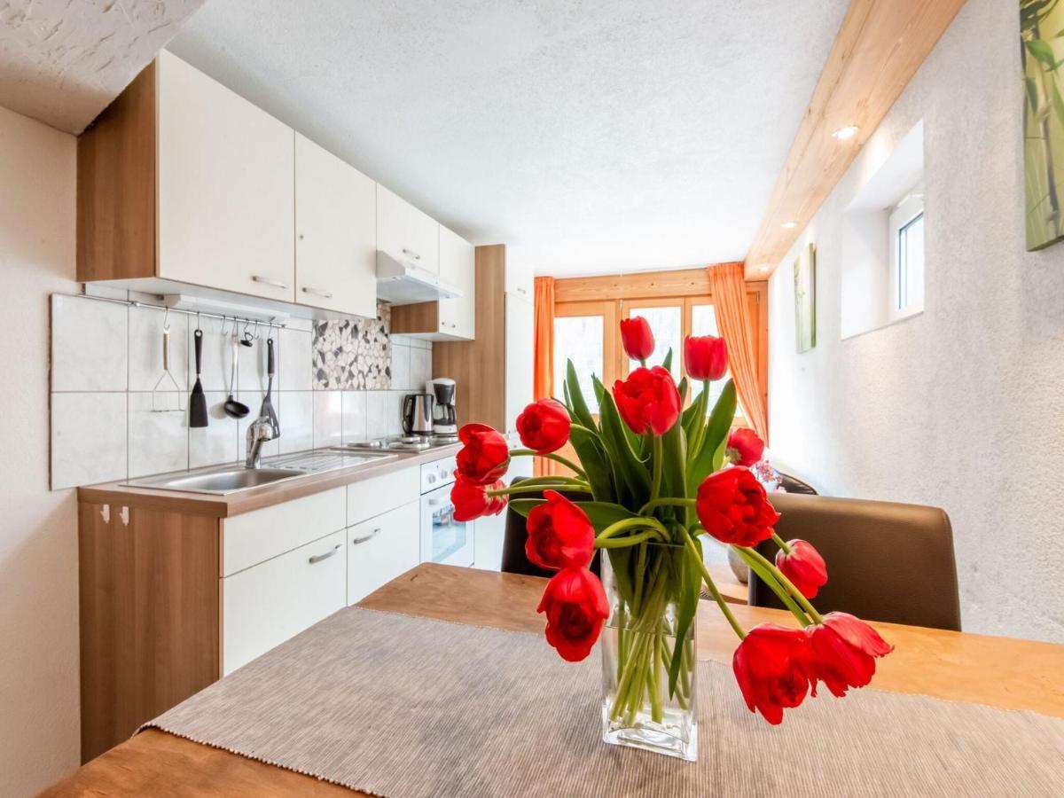Apartment In The Silvretta-Montafon Ski Area Санкт-Галленкірх Екстер'єр фото